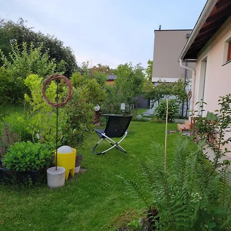Garden With Kitchenette