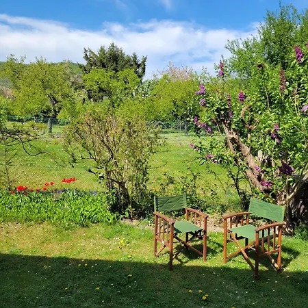 Garden With Kitchenette