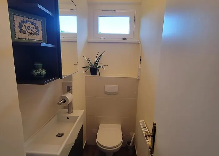 Garden With Kitchenette