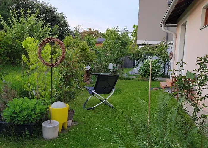 Garden With Kitchenette