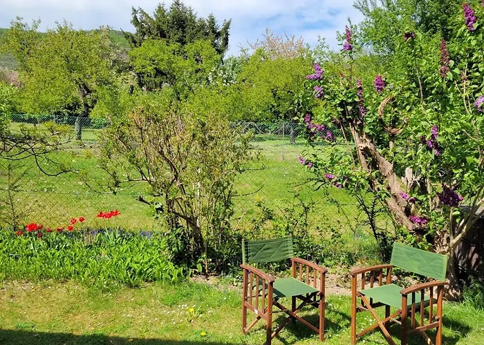 Garden With Kitchenette