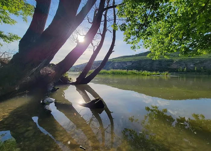 Garden With Kitchenette * Mautern an der Donau