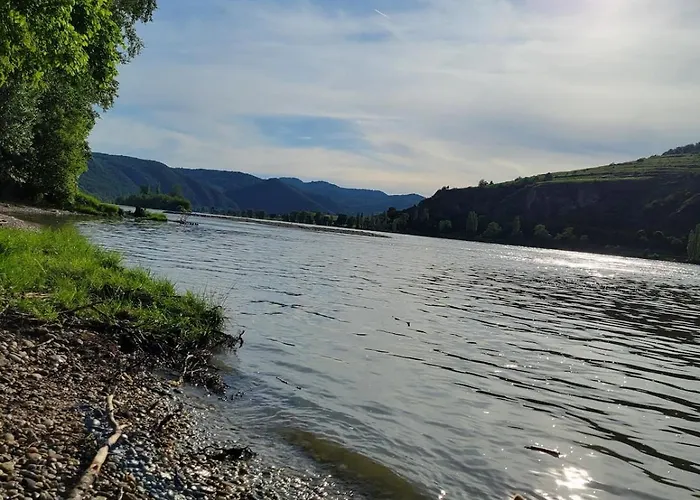 Garden With Kitchenette